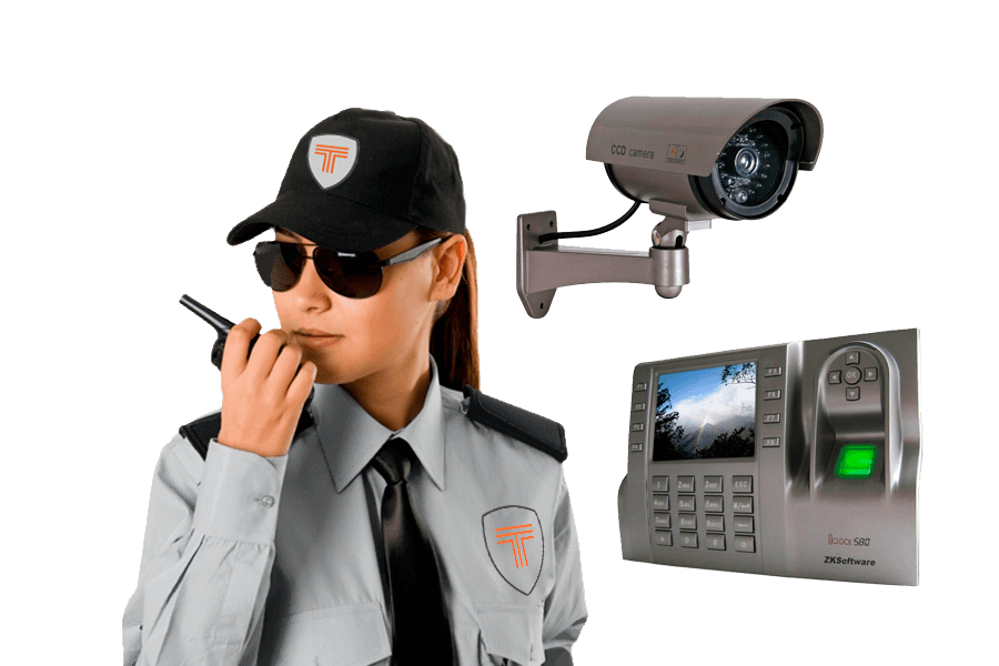 Seguridad Física y Electrónica